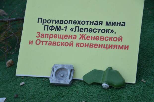 Выставку трофейной техники и оружия, захваченных в ходе спецоперации на Украине, должен посетить каждый