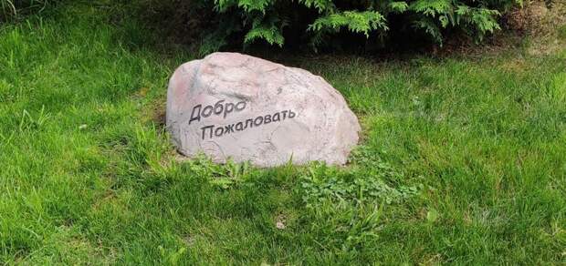 Немного юмора с примесью цинизма