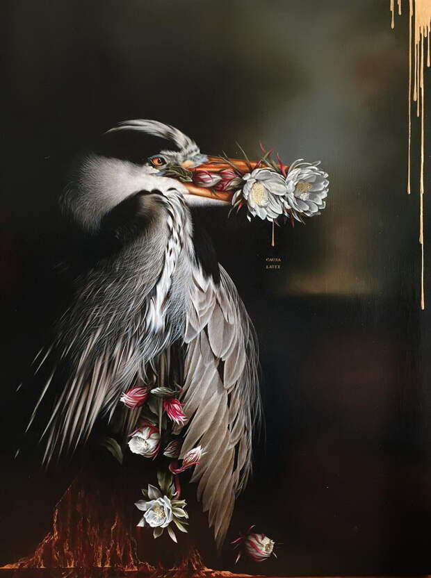 Красивые птицы в картинах Josie Morway