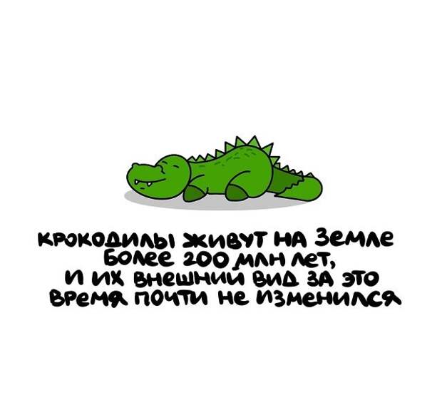 Интересные и коротенькие факты на все случаи жизни