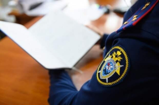 В Курганской области заключен под стражу местный житель, обвиняемый в убийстве несовершеннолетней в 2005 году