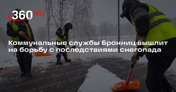 Коммунальные службы Бронниц вышлит на борьбу с последствиями снегопада