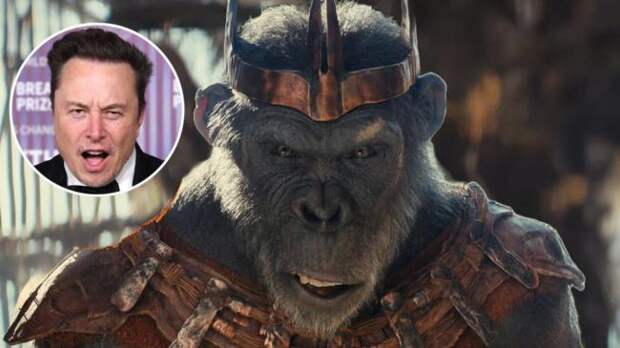 The Delusion Monkey Villain In ‘Kingdom of the Planet of the Apes’ Is ...