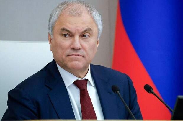 Володин рассказал о новых законопроектах для контроля за миграцией