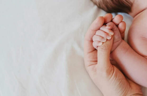 Китайские миллиардеры заводят десятки детей в США, используя услуги суррогатных матерей 