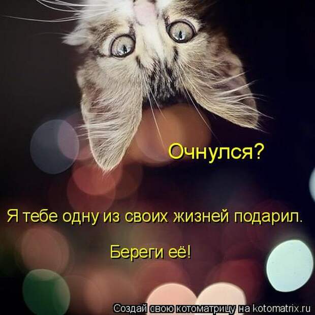 Мысли вслух :)