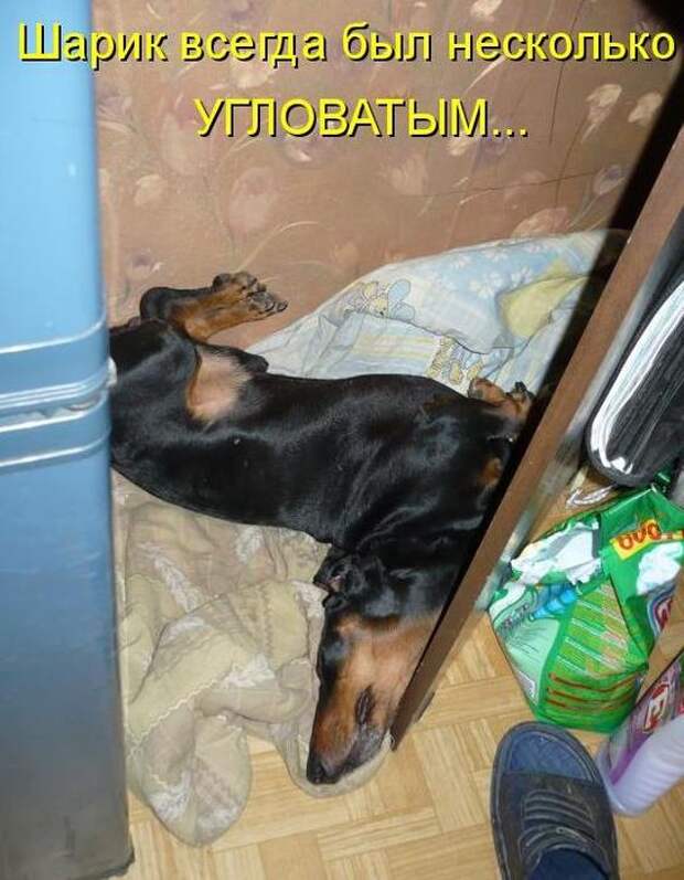Мысли вслух :)