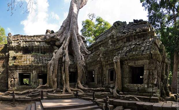 Камбоджийский храм Та Пром (Ta Prohm) и гигантские деревья