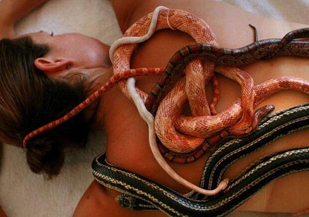 Змеиный массаж: молодость лишь для смелых