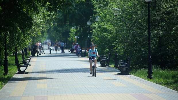 Известный архитектор объяснил, что мешает строить в Барнауле длинные велодорожки