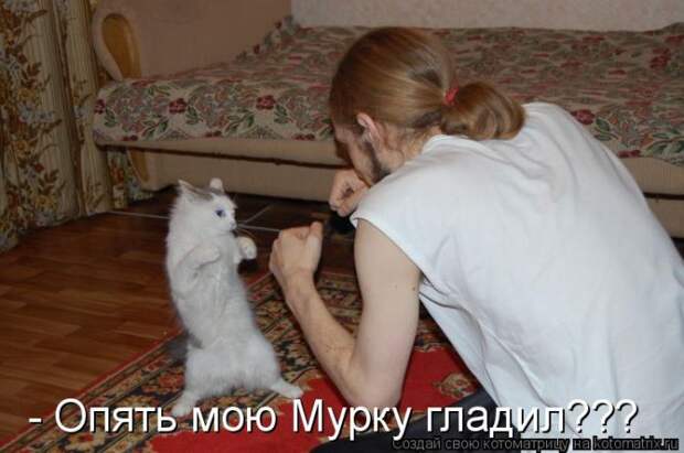 Забавные котоматрицы