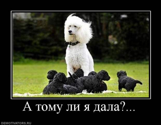 Давайте улыбаться вместе :)