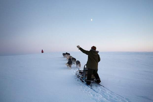 Жизнь в диких условиях, или любовь к Арктике арктика, жизнь