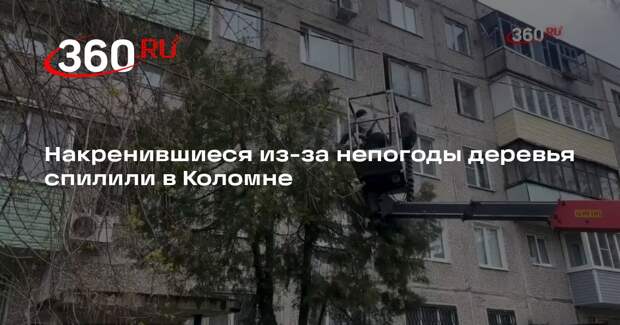 Накренившиеся из-за непогоды деревья спилили в Коломне
