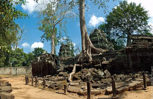Камбоджийский храм Та Пром (Ta Prohm) и гигантские деревья