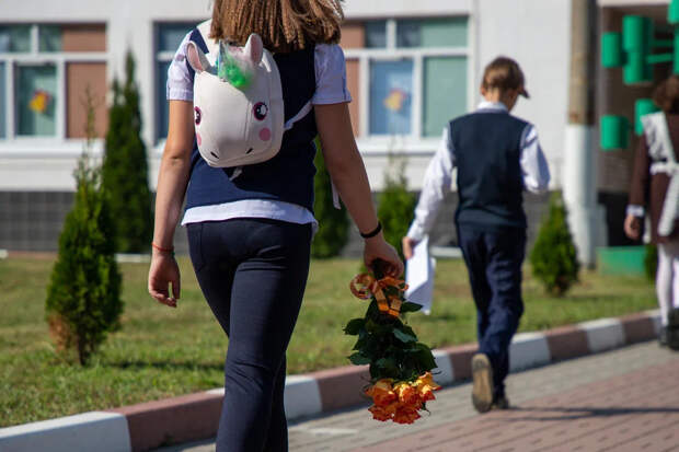 Единые учебники введут по всем школьным предметам в России