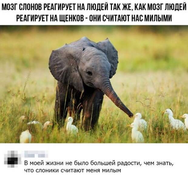 Смешные комментарии