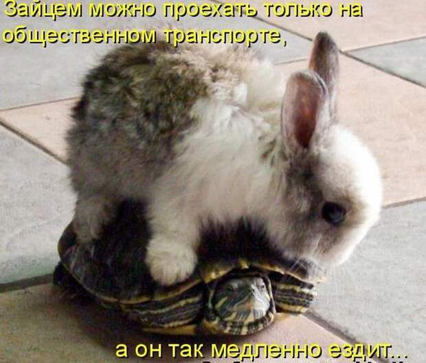 Мысли вслух :)