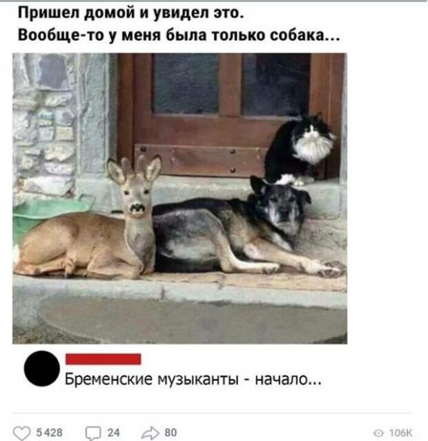 www.vsyako.net