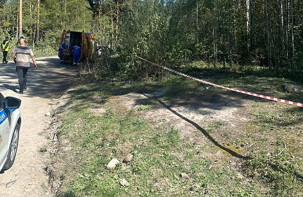 В Ленинградской области во время гонок погиб зритель