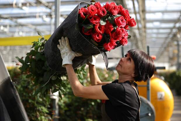 Одному из российских рынков предсказали рост до полутриллиона рублей