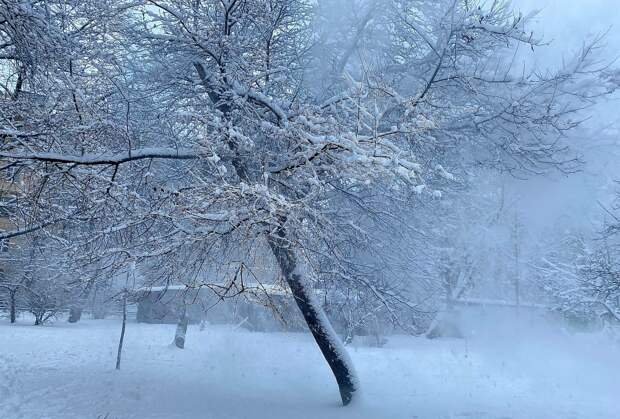 Приближающийся из Москвы снежный циклон не одолеет Петербург