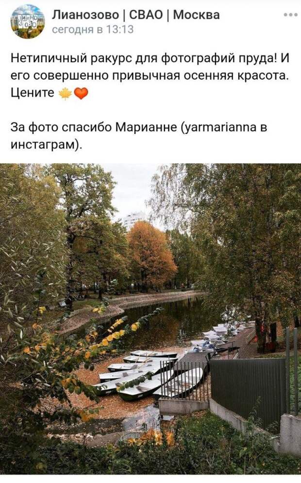 Фотокадр: осенняя меланхолия в Лианозовском парке