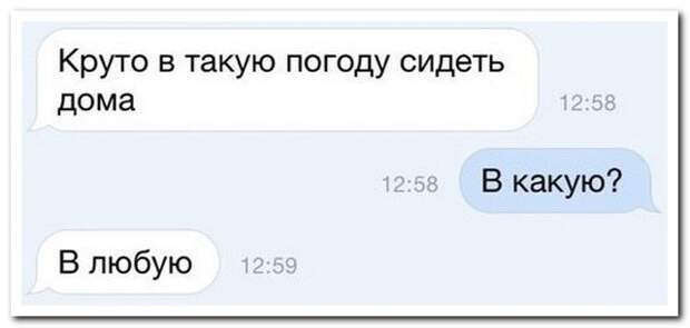 3.  картинки, комментарии, надписи, прикол, соц сети, юмор