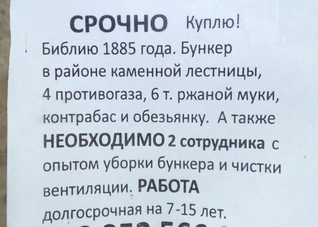 Прикольные картинки с надписью для поднятия настроения (12 фото) Прикольные картинки с надписью для поднятия настроения (12 фото)