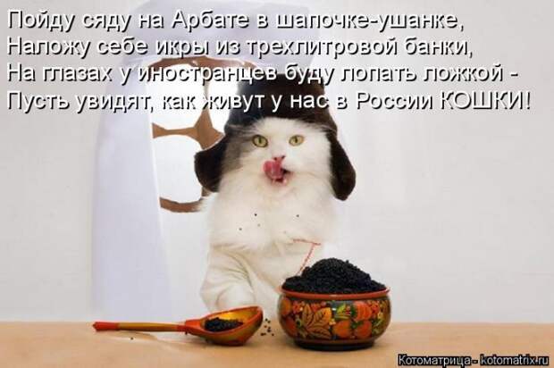 Забавные котоматрицы