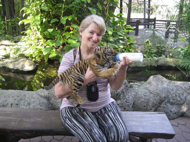 Пенсионерка из Бибирева познакомилась в Таиланде с тигрёнком