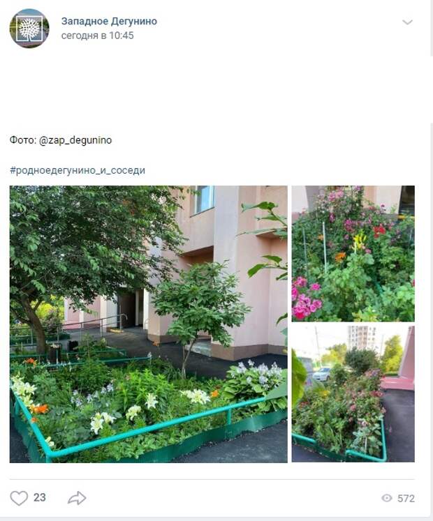Фото дня: летний дворик в Западном Дегунине