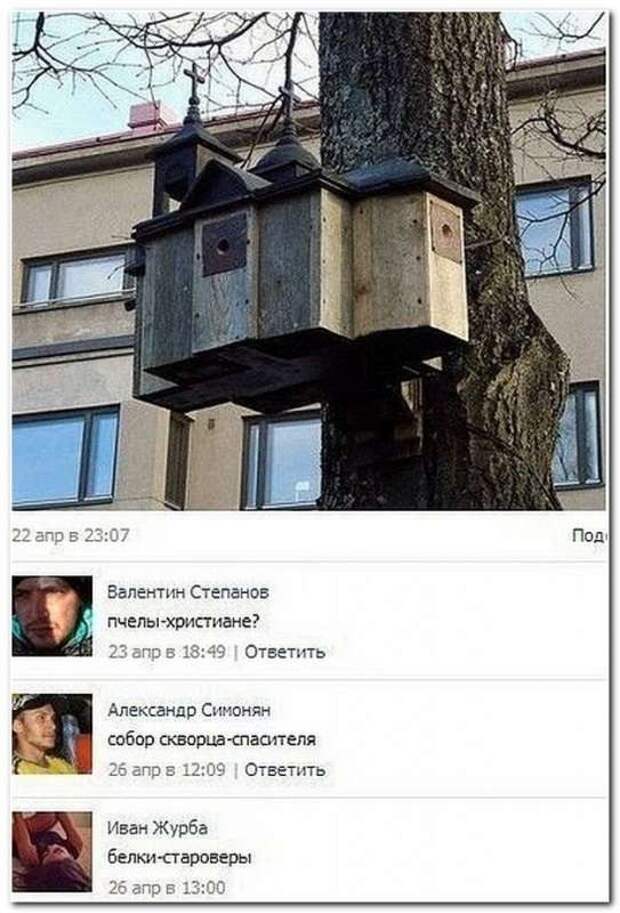 Смешные комментарии из социальных сетей (33 фото)