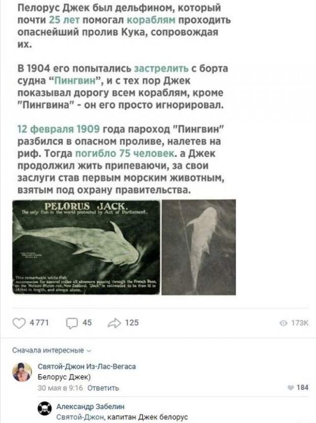 www.vsyako.net