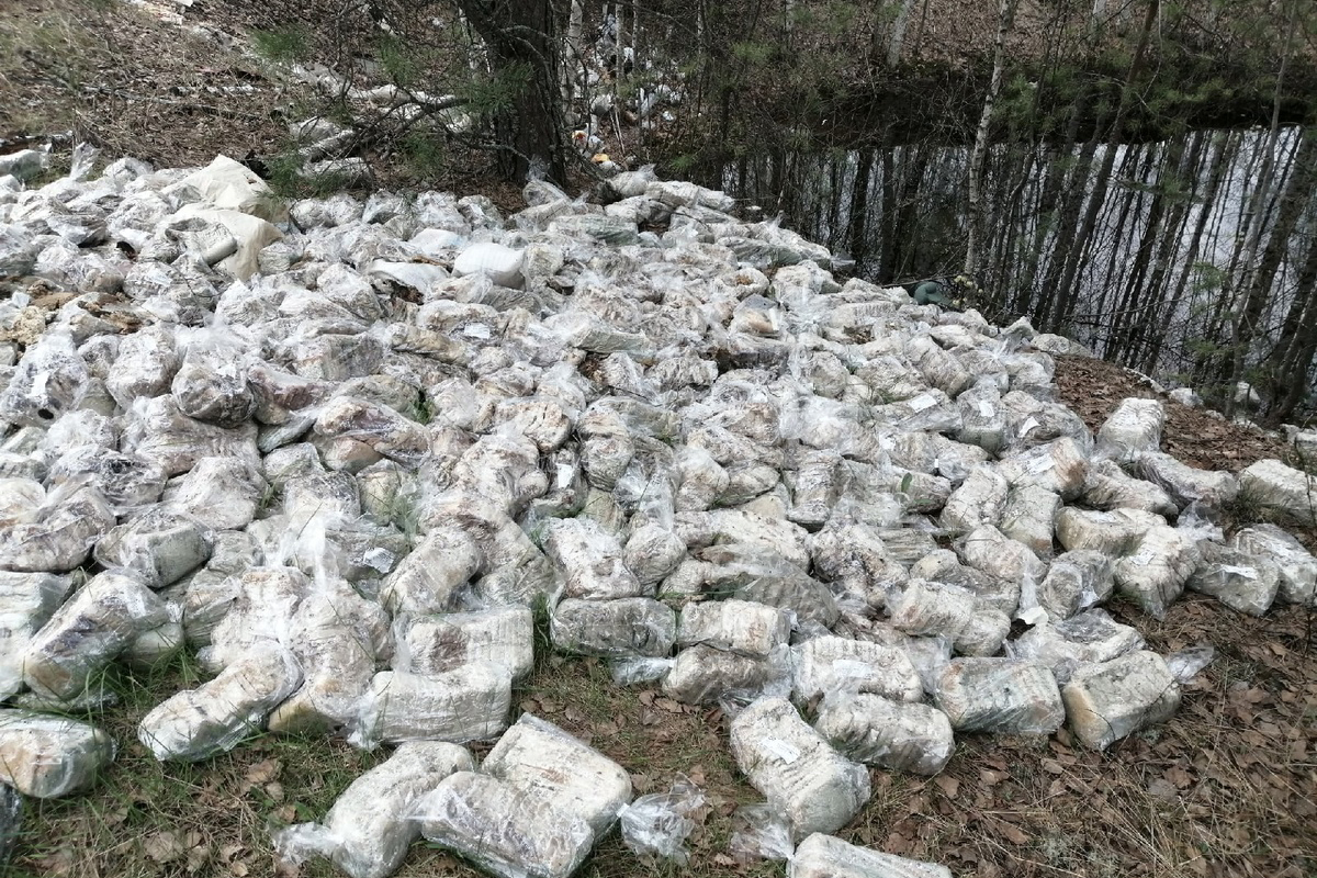 Свалку хлеба нашли в Нижегородской области