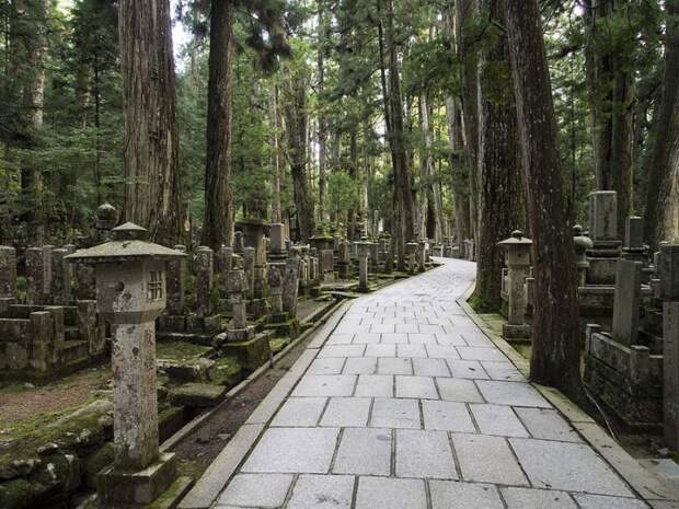 Самое большое кладбище Японии