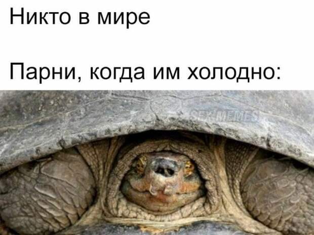 Мемы и приколы про &quot;это&quot;