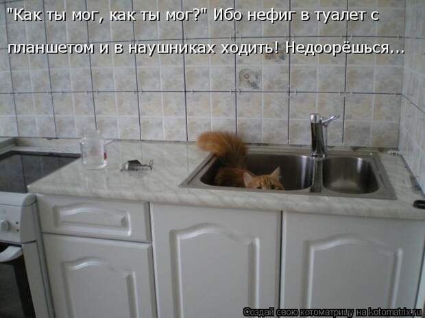 Котоматрица: "Как ты мог, как ты мог?" Ибо нефиг в туалет с планшетом и в наушниках ходить! Недоорёшься...