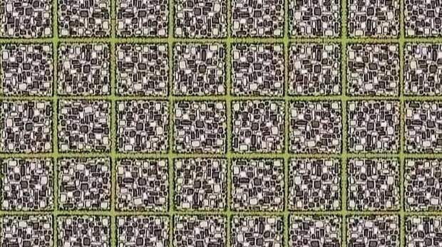 Найдите и поймайте кривую линию в этой оптической иллюзии