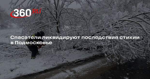 Спасатели ликвидируют последствия стихии в Подмосковье