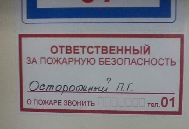 20 идеальных фотографий, которым место в лучших галереях идеал, прикол, юмор