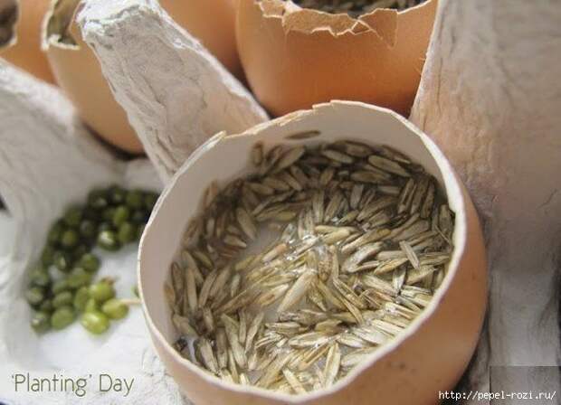 4403711_cKvmYmhOT0I (604x437, 125Kb)