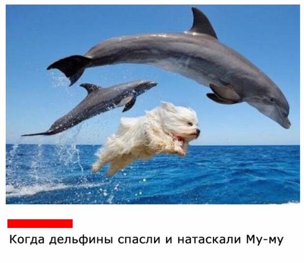 Подборка картинок (20 фото)