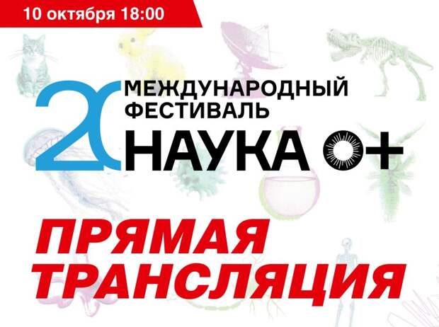 Источник фото: пресс-служба Фестиваля науки НАУКА 0+