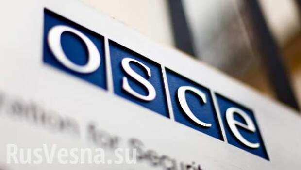 Заградотряды ОБСЕ | Русская весна