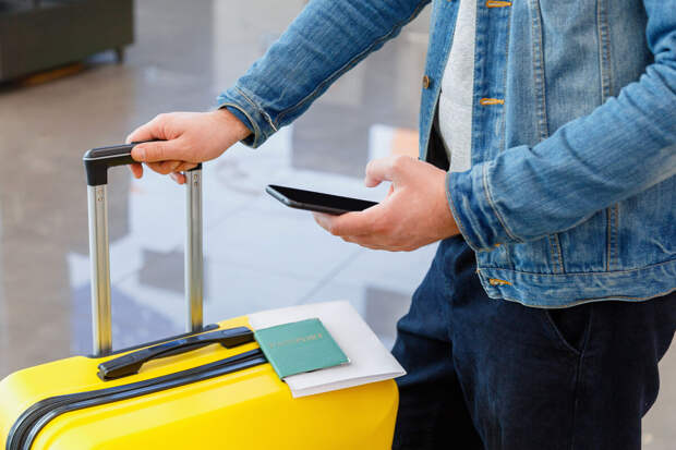 Врач Компанец: вирус Нипах может попасть в Россию в инкубационный период