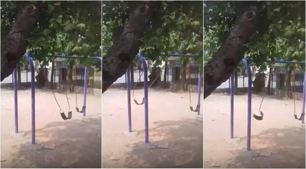 Качели раскачиваются сами по себе на загадочном видео