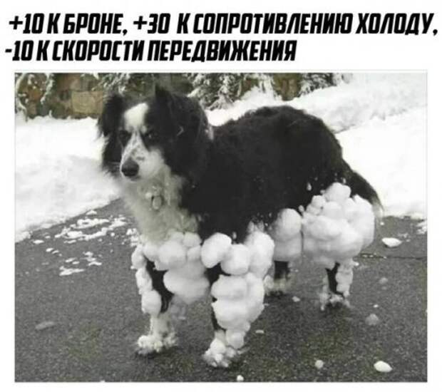 Новые фотомемы на Бугаге (22 шт)