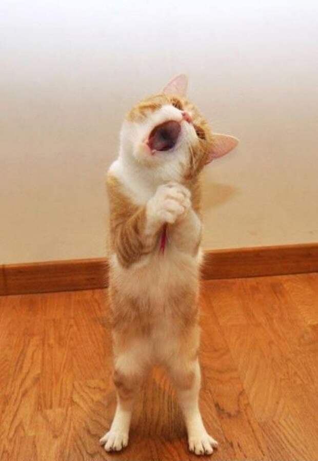 Давайте улыбаться вместе! :) (31повод)