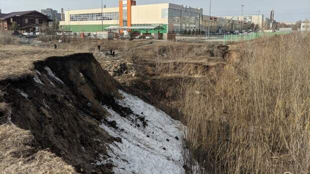 "Сейчас это позорное пятно района". Зачем Барнаулу нужен парк в овраге за "Европой"